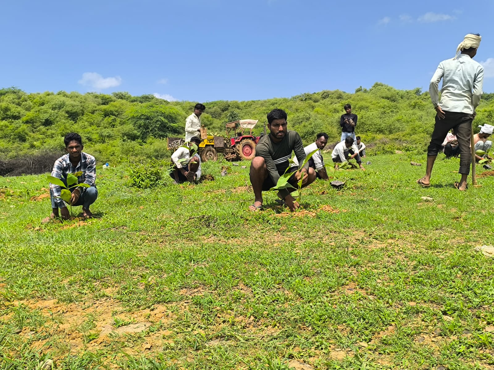 Standard Chartered and Haritika to plant 1 Million Native Trees